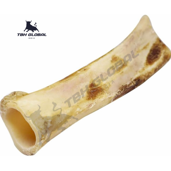Natural Buffalo Bone For Dog Chew Large