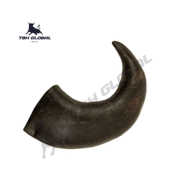 Buffalo Horn Dog Chew Large Horn - Image 2