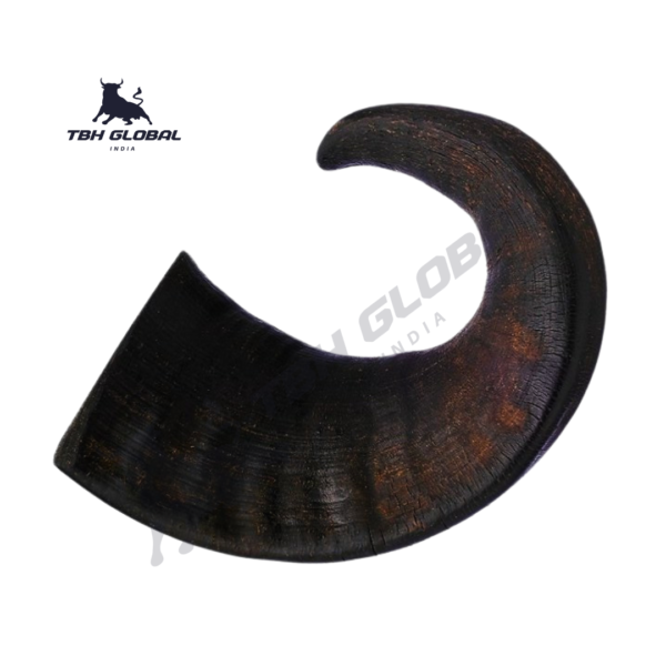 Buffalo Horn Dog Chew Large Horn
