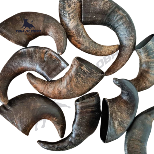 Buffalo Horn Dog Chew Medium Horn - Image 2
