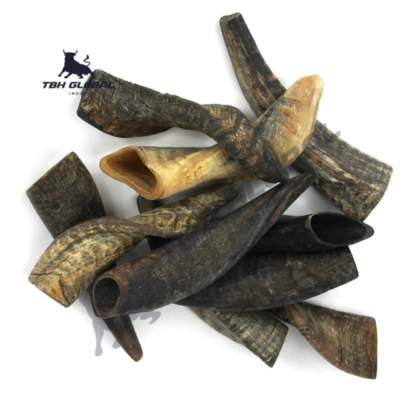Goat Horn Trimmed For Dog Chew