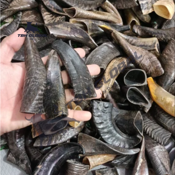Goat Horn Whole For Dog Chew